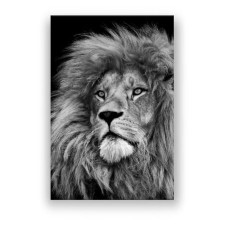 Lion head , animal face Abstrakte Kunst Wandbild