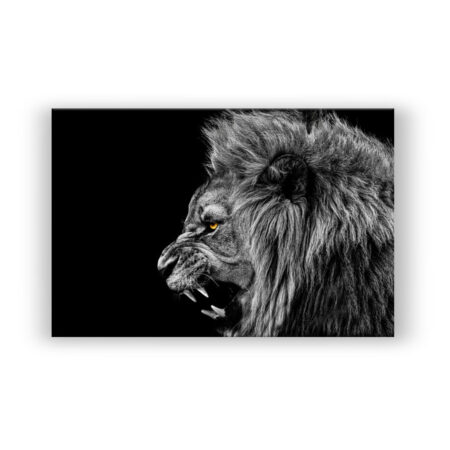 Black & White Lion Tiermotive Wandbild