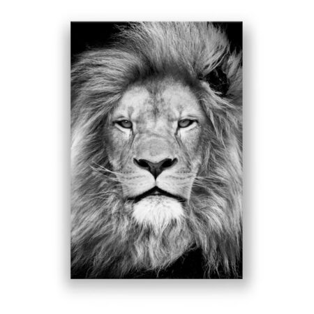 Lion head , animal face Motivation Art Wandbild