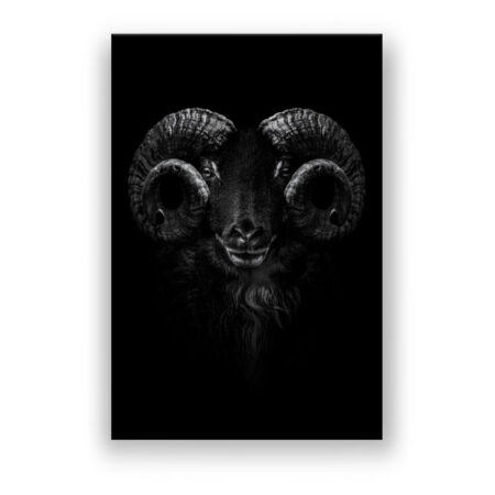 Ram Horns animal , Close up of head and horns of a wild big horned Abstrakte Kunst Wandbild