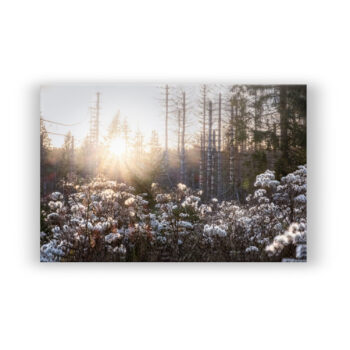 Harzer Skyline Fotografie Wandbild