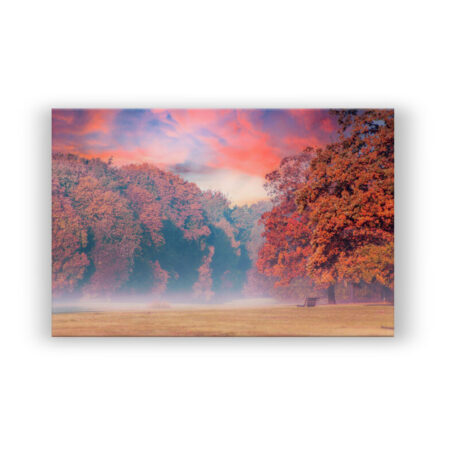 Herrlicher Herbst Fotografie Wandbild