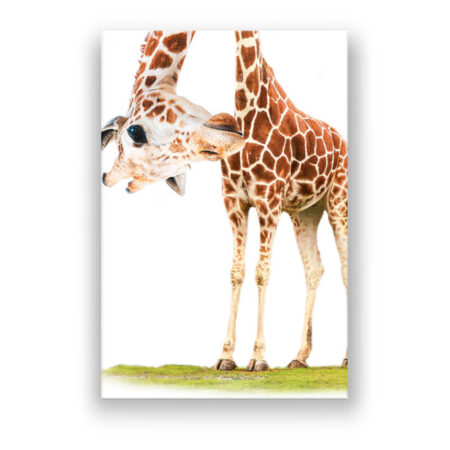 Funny Giraffe Kinderzimmer Wandbild