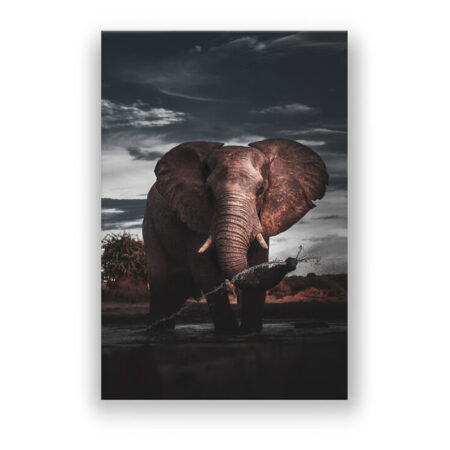 Water Elephant Natur Wandbild