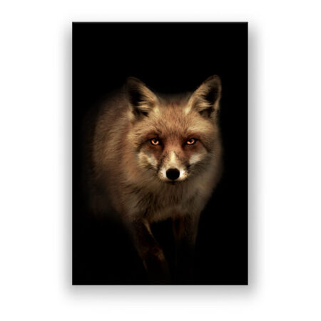 Mystic Fox Schlafzimmer Wandbild
