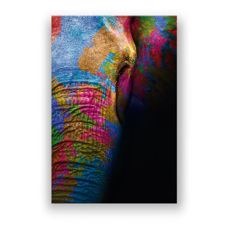 Farbenfroher Elefant Tiermotive Wandbild