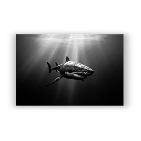 Schwarzer und weißer Hai , tier fish Abstrakte Kunst Wandbild