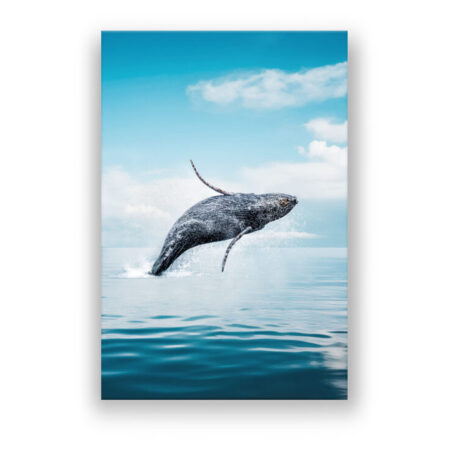 Ein Blauwal springt aus dem Wasser, dem blauen Ozean Modern Art Wandbild