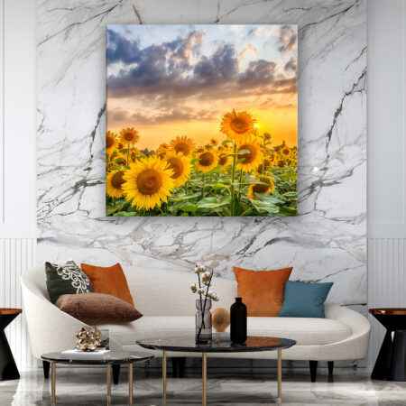 Sonnenblumen im Sonnenuntergang Fotografie Wandbild