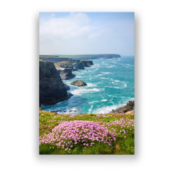 Frühling an Cornwalls Küste Fotografie Wandbild