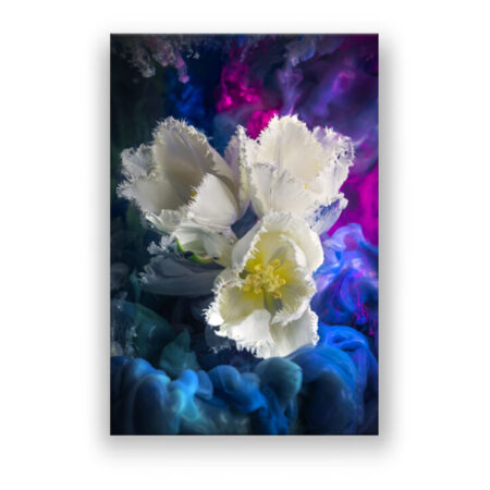 Weiße Tulpen Abstrakte Kunst Wandbild