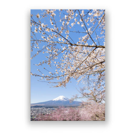 Charmanter Blick auf den Fuji bei Kirschblüte Fotografie Wandbild