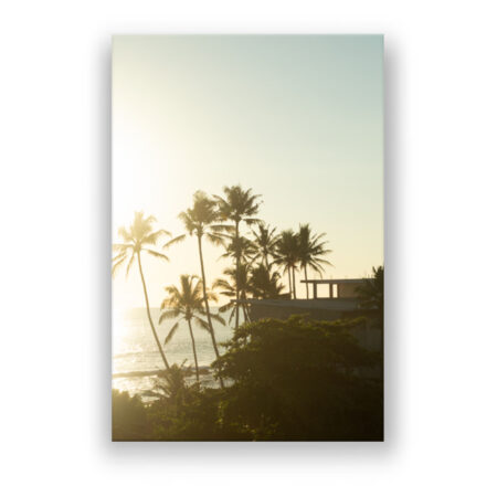 Sonnenaufgang mit Palmen in Sri Lanka Fotografie Wandbild