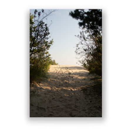 Strandaufgang an der Ostsee Fotografie Wandbild