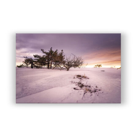 wunderschöne Winterlandschaft zum Sonnenaufgang Fotografie Wandbild