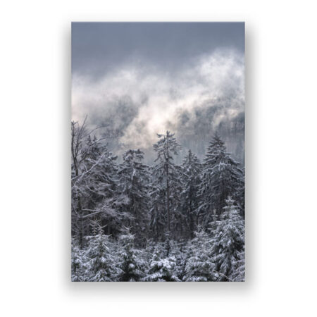 Winterlandschaft im Nebel Fotografie Wandbild