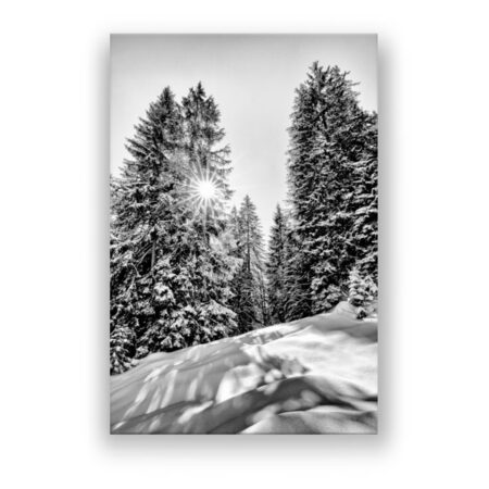 Winterlandschaft im direkten Gegenlicht Fotografie Wandbild