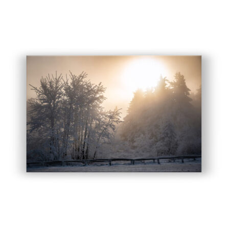 Winterlandschaft in der goldenen Morgensonne Fotografie Wandbild