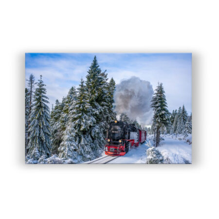 Die Brockenbahn am Goetheweg im Harz Fotografie Wandbild